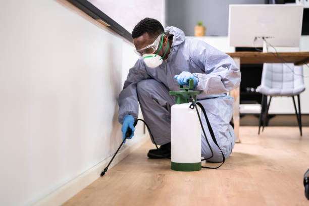 Best Fumigation Services  in Ville Ptte, LA